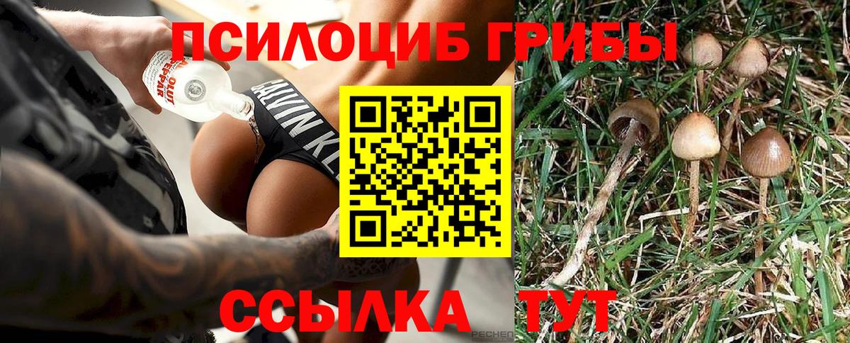 Галлюциногенные грибы GOLDEN TEACHER Киров