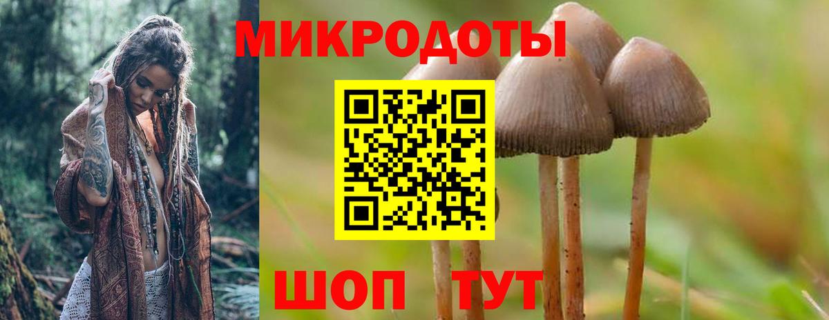 Галлюциногенные грибы мухоморы  Вход с VPN  хочу   Галлюциногенные грибы мухоморы  Киров 